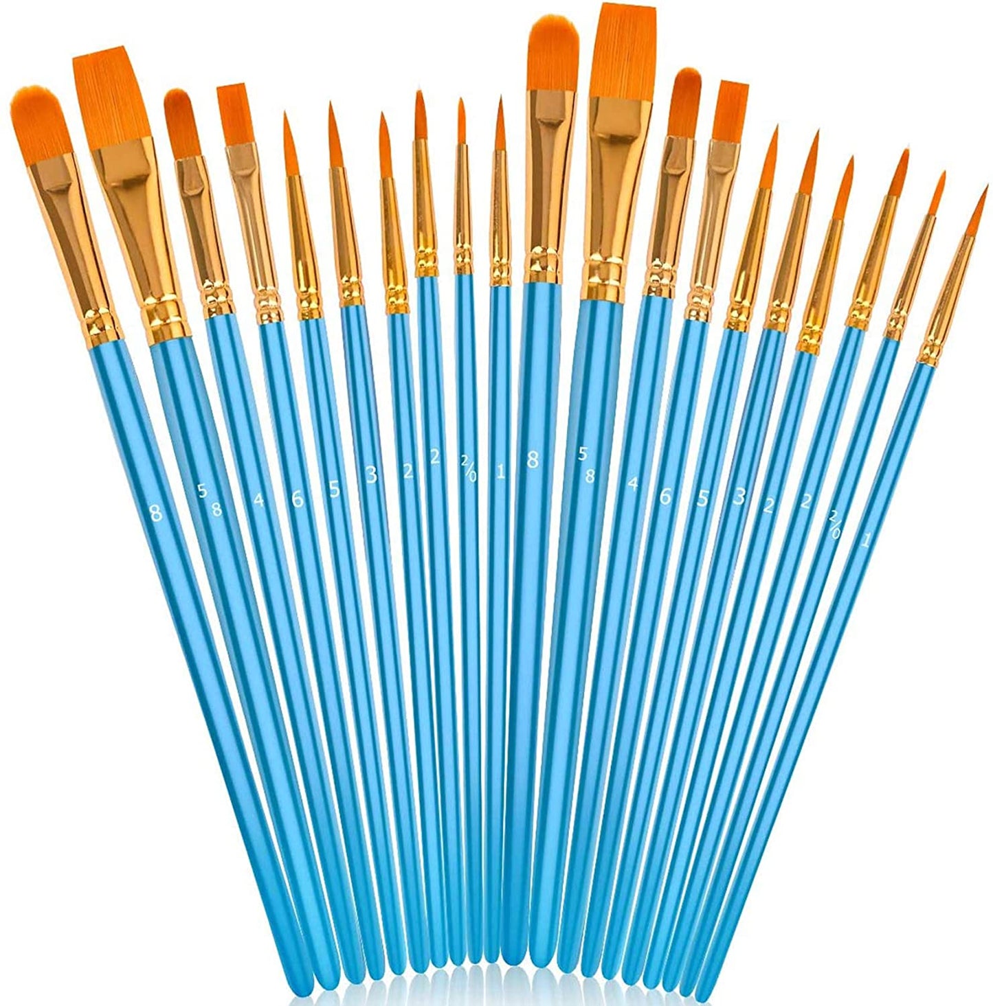 Acrylic Paint Brushes Set, 20Pcs Artist Paintbrushes Paint Brushes
