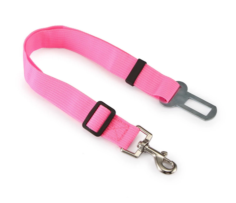 Dog Seat Belt
