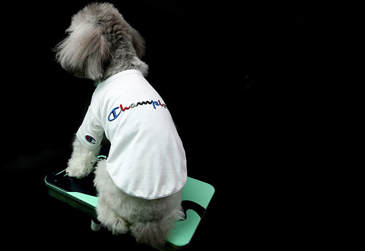 Popular logo T-shirt for small dogs