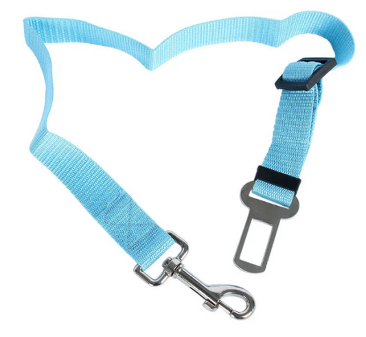 Dog Seat Belt