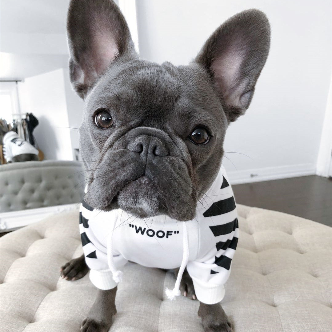 Keji Schnauzer Lawyer Dog Sweatshirt